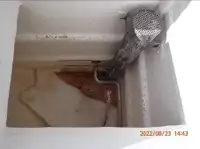 Çift ağlı trol satılık