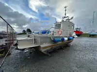 devriye botu satılık
