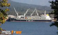 Dökme yük gemisi satılık