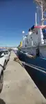 Araştırma gemisi satılık