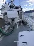 Çift ağlı trol satılık