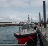 Devriye botu satılık