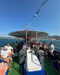 Denizaltı satılık