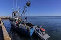 Çift ağlı trol satılık