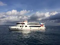 Kruvaziyer gemisi satılık