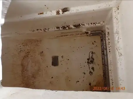 Çift ağlı trol satılık