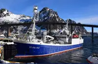 Çift ağlı trol satılık