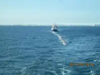 Yığın taşıyıcı satılık