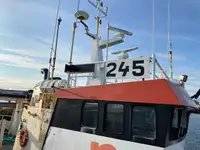 Dökme yük gemisi satılık