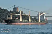 Soğutmalı gemi satılık