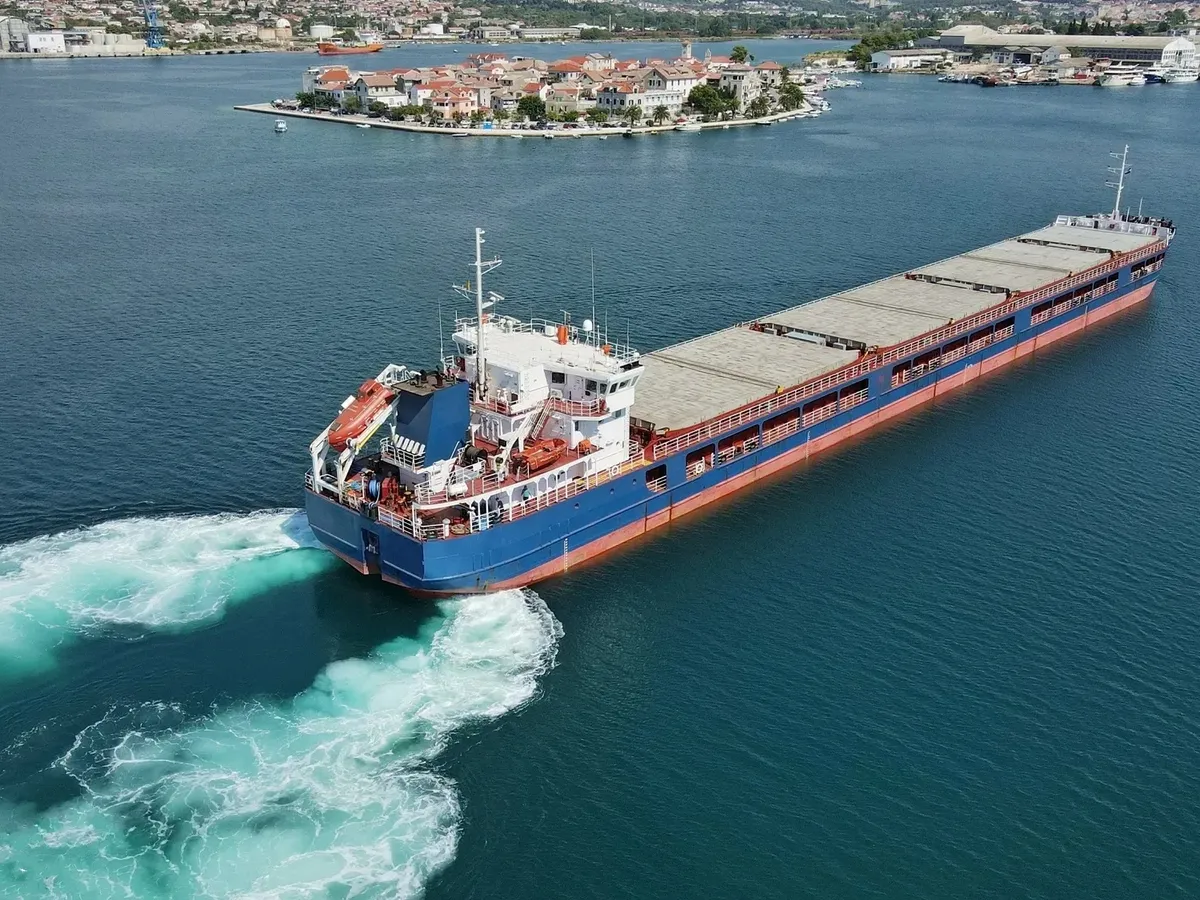 General Cargo/Multi-purpose satılık