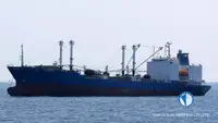 soğutuculu gemi satılık