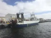 Trol gemisi satılık
