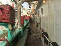 Kalamar avlama gemisi satılık