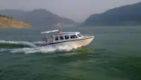 Yolcu gemisi satılık