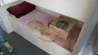Trol gemisi satılık