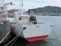 Devriye botu satılık