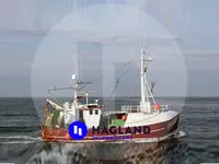 Canlı balık taşıma gemisi satılık