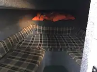Pilot teknesi satılık