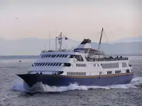 Kruvaziyer gemisi satılık