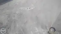 Konteyner gemisi satılık