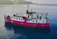 General Cargo/Multi-purpose satılık
