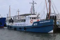 Mavna satılık