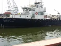 Devriye botu satılık