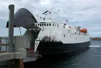 Yığın taşıyıcı satılık