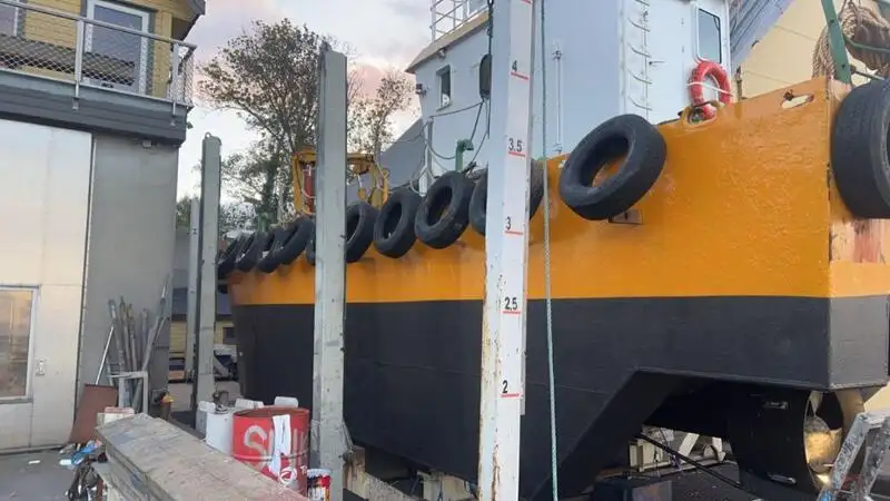 Çok amaçlı satılık
