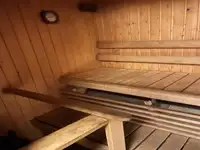 Kruvaziyer gemisi satılık