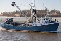 Purse seiner satılık