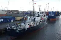 Anket gemisi satılık