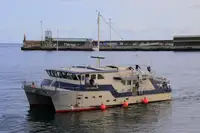 Araştırma gemisi satılık