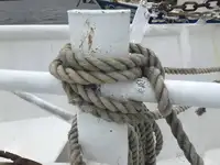 Trol gemisi satılık