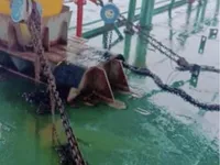 Gezi teknesi satılık