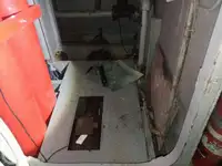 Kruvaziyer gemisi satılık