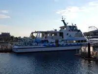 Yolcu gemisi satılık