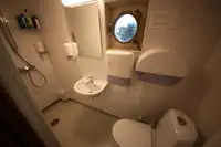 Yığın taşıyıcı satılık