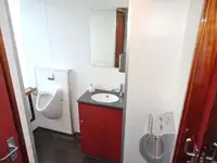 Kruvaziyer gemisi satılık