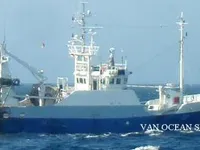 Trol gemisi satılık