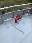 İş gemileri satılık