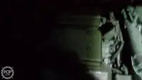 Trol gemisi satılık