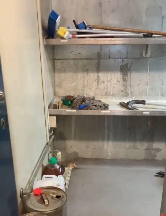 Kruvaziyer feribotu satılık