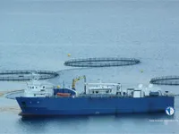 Soğutmalı gemi satılık