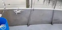 Trol gemisi satılık