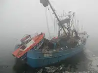 Çift ağlı trol satılık