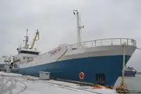 Çift ağlı trol satılık