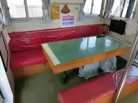 Kruvaziyer gemisi satılık