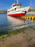 Kruvaziyer gemisi satılık
